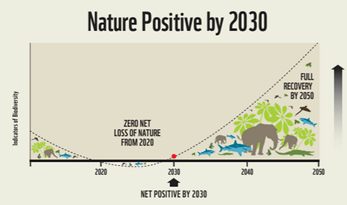 Nature Positive Initiativeによるネイチャーポジティブの概念図